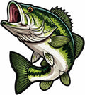 Bass Fish Iron On Patch – Freshwater Fishing Patch for Jackets, Backpacks, Hats, and Outdoor DIY Projects