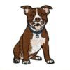Pitbull Patch 3.5" Iron On
